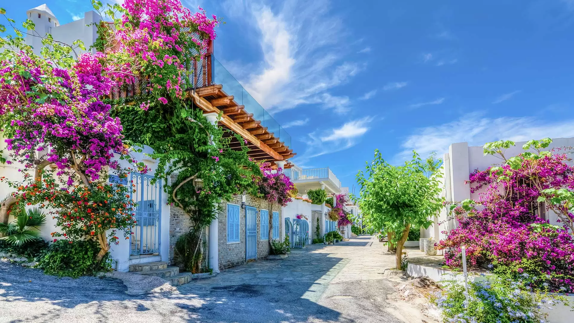 Learn about the most famous tourist destinations in Bodrum